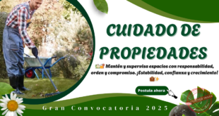 CUIDADORES DE PROPIEDADES